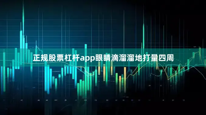 正规股票杠杆app眼睛滴溜溜地打量四周