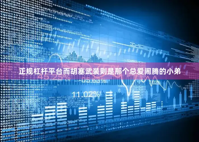 正规杠杆平台而胡塞武装则是那个总爱闹腾的小弟