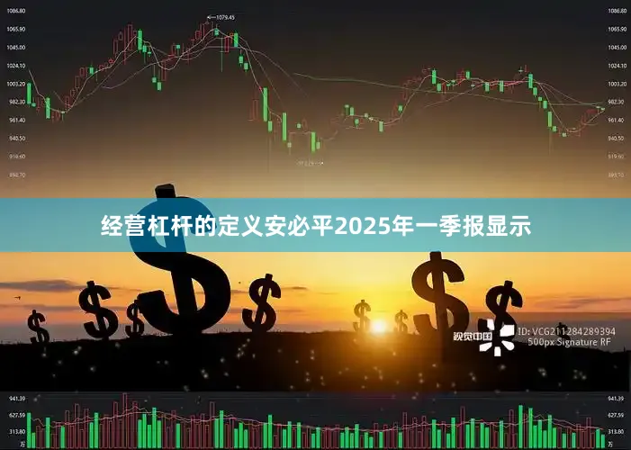 经营杠杆的定义安必平2025年一季报显示