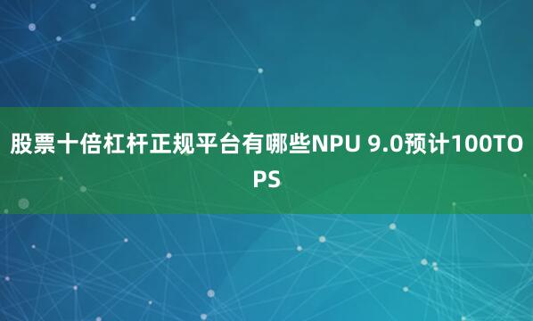 股票十倍杠杆正规平台有哪些NPU 9.0预计100TOPS