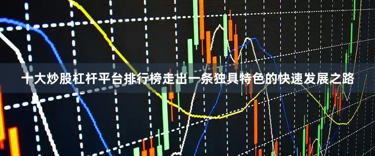 十大炒股杠杆平台排行榜走出一条独具特色的快速发展之路